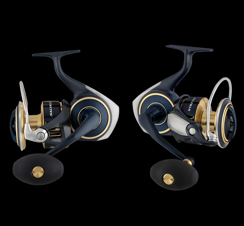 may-cau-daiwa-saltiga-2025