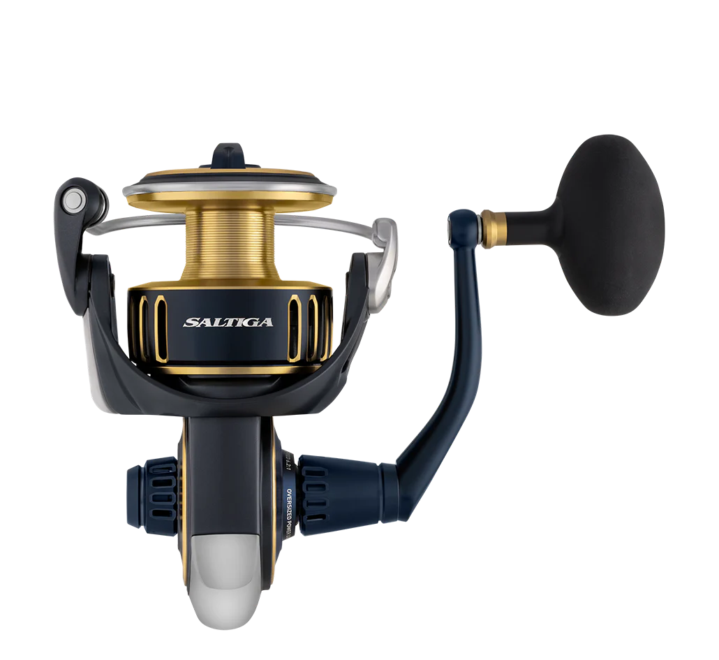   Máy câu Daiwa Saltiga 2025 