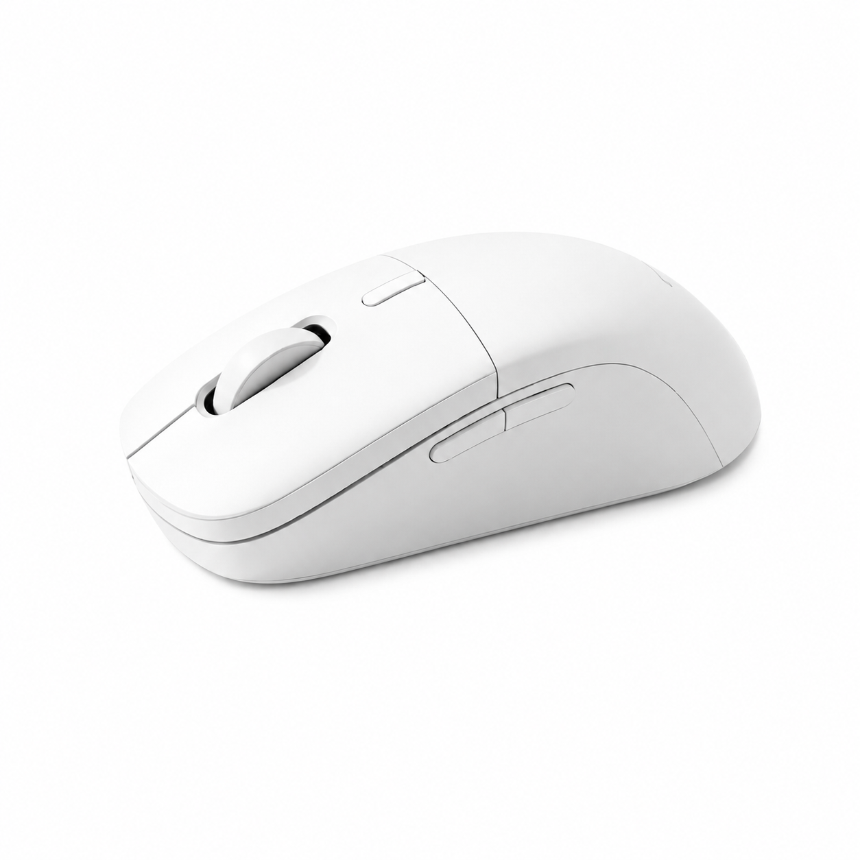 Chuột