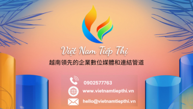 Ảnh 8