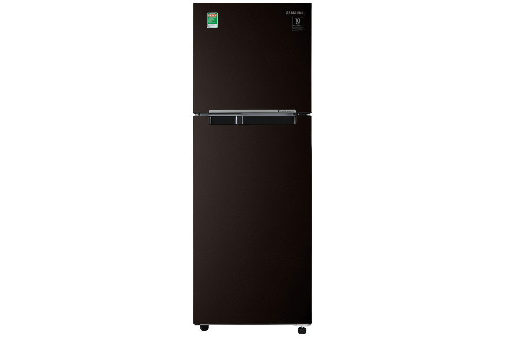Tủ lạnh Samsung Inverter 236 lít 