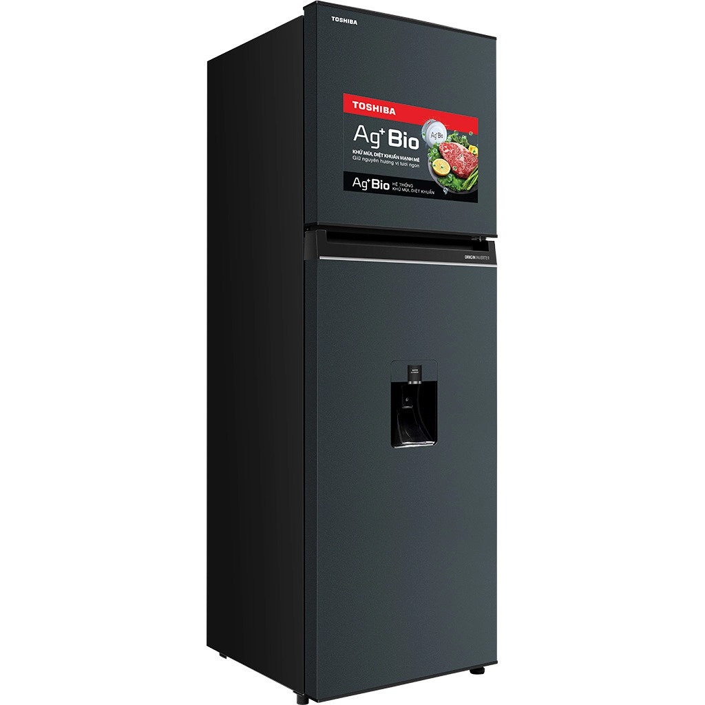 tu-lanh-toshiba-inverter-249-lit-gr-rt325we-pmv06-mg