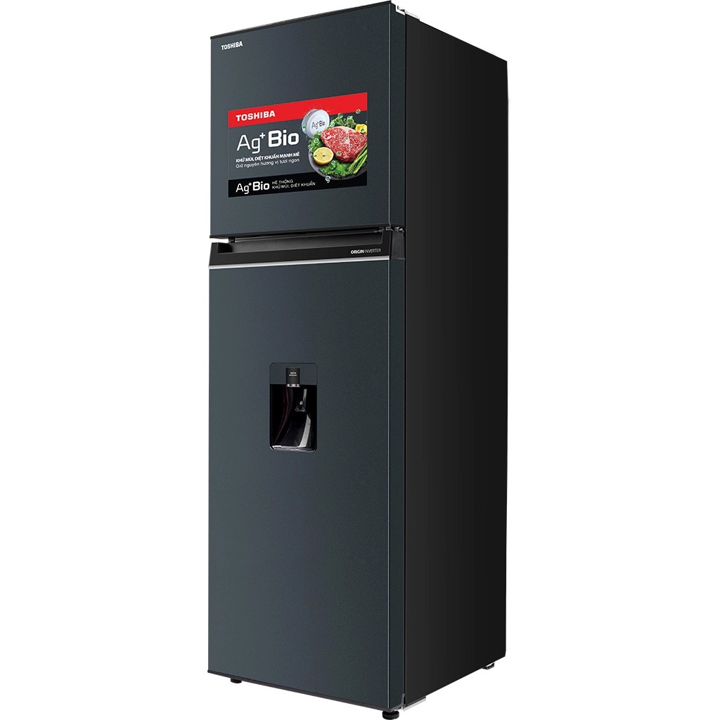 tu-lanh-toshiba-inverter-249-lit-gr-rt325we-pmv06-mg