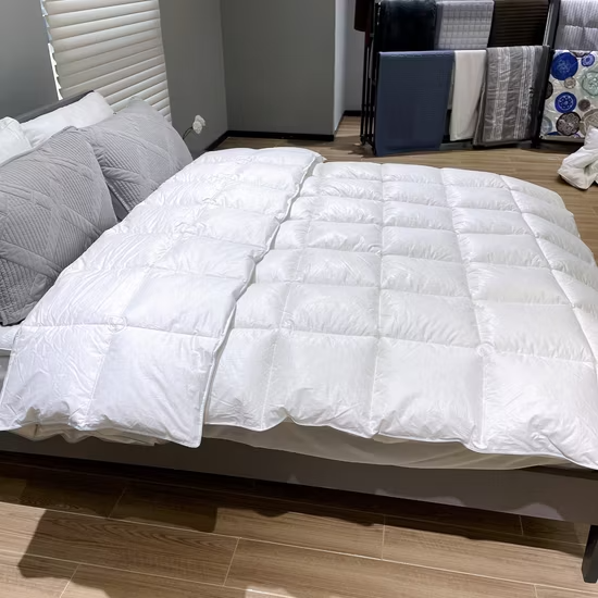 chan-bong-len-am-ap-mua-dong-new-zealand-uc