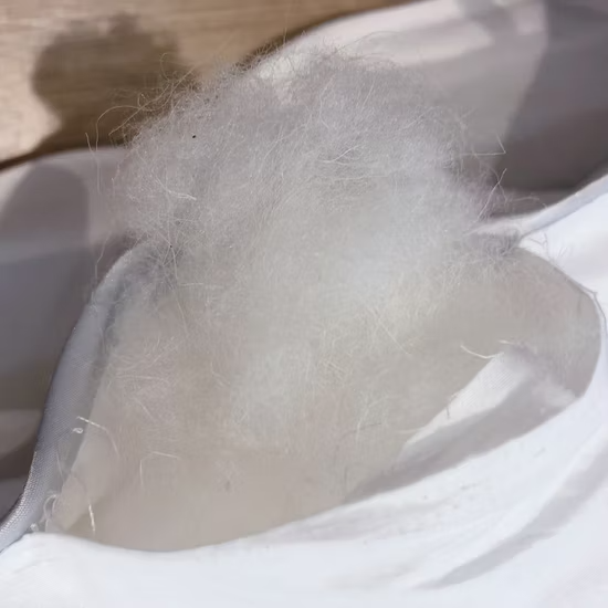 chan-bong-len-am-ap-mua-dong-new-zealand-uc