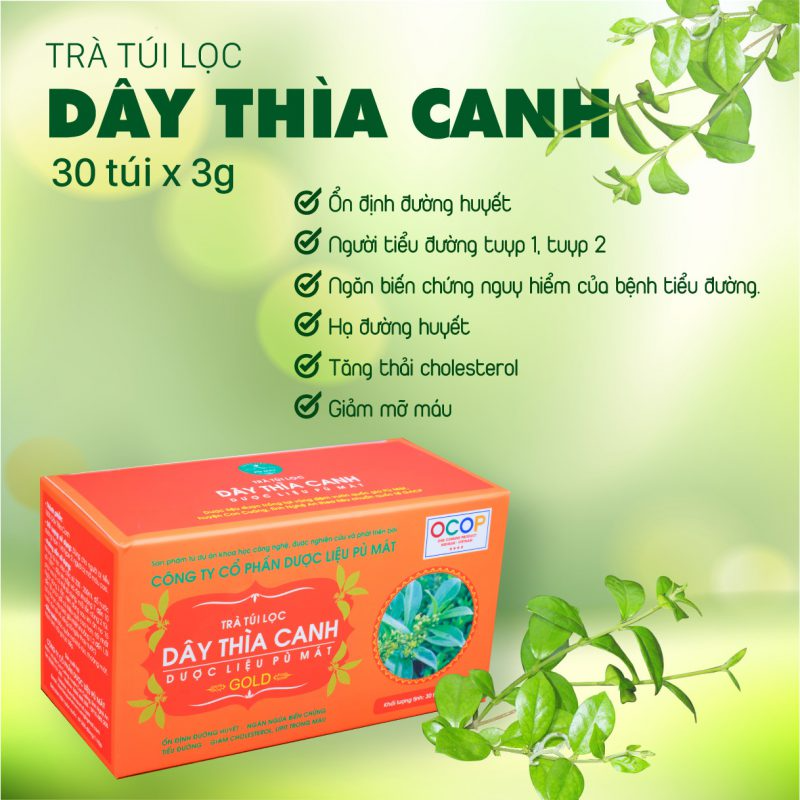 cao-day-thia-canh-pu-mat