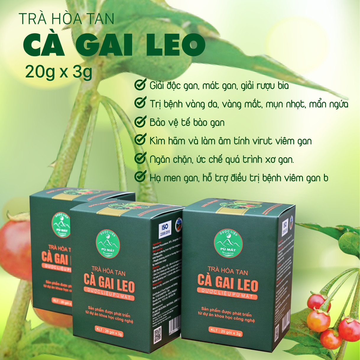 tra-hoa-tan-ca-gai-leo-pu-mat