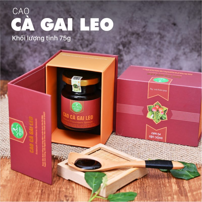 cao-day-thia-canh-pu-mat