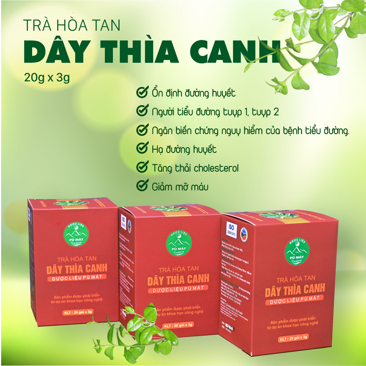 tra-hoa-tan-day-thia-canh-pu-mat